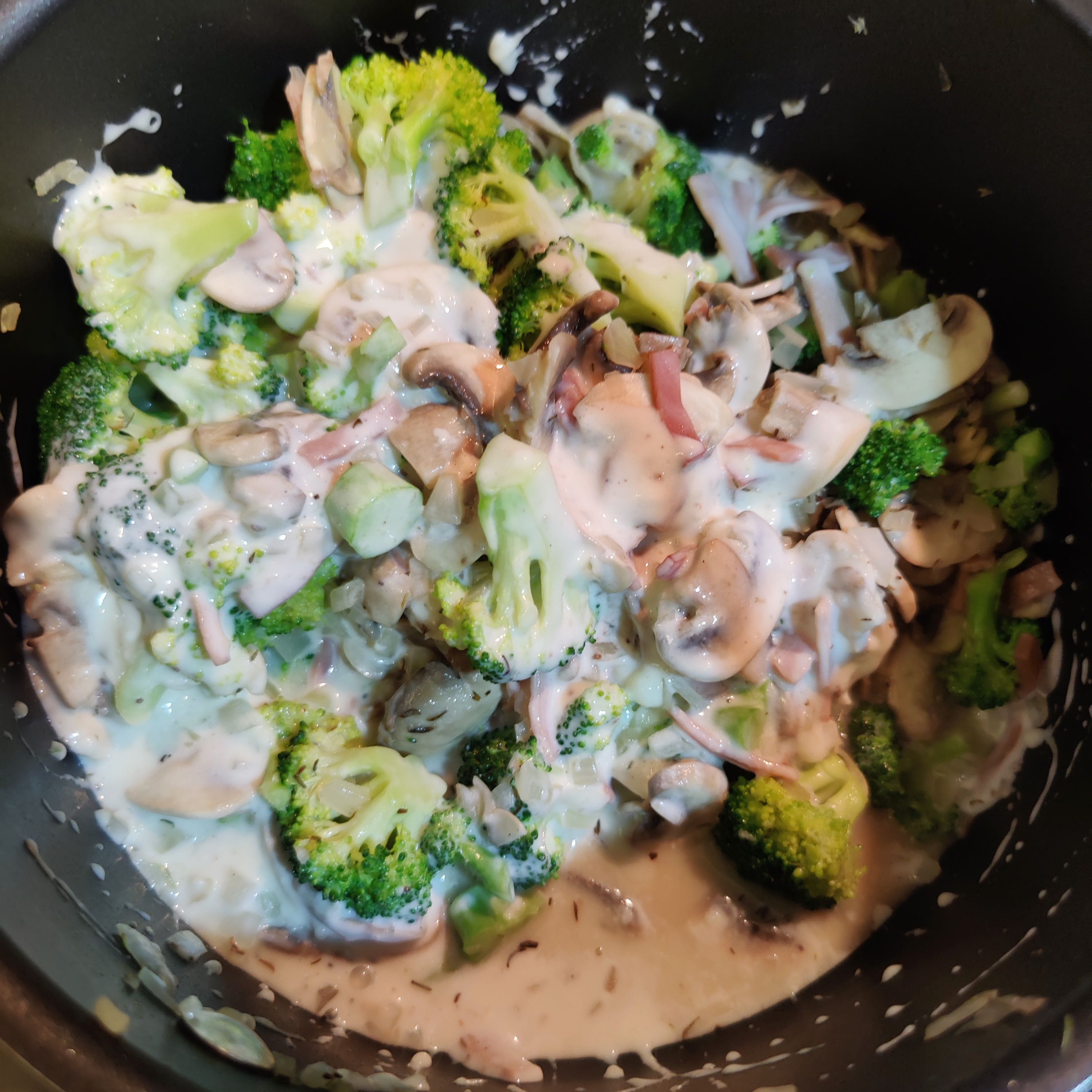 added in broccoli and white sauce